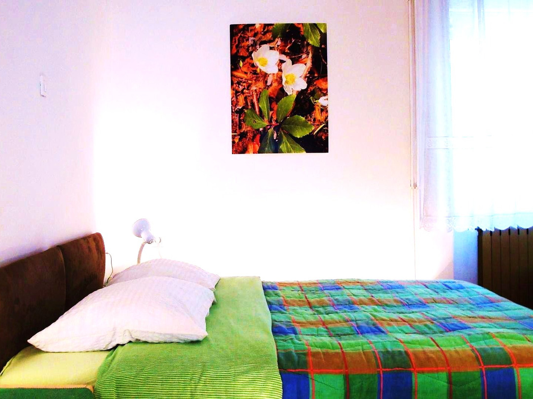 Apartments Bovec Dana主图