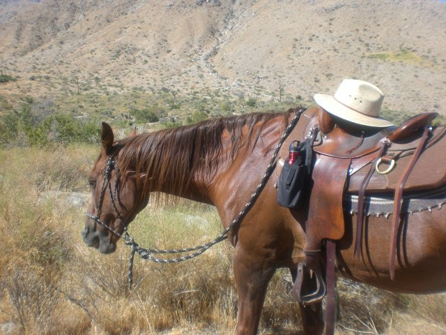 Crazy Horse Ranch景点图片
