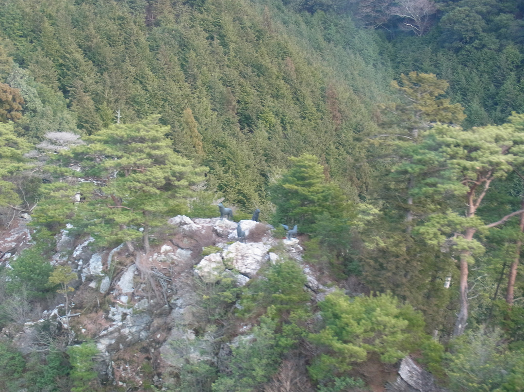 Tairyuji Ropeway-那贺町必去景点