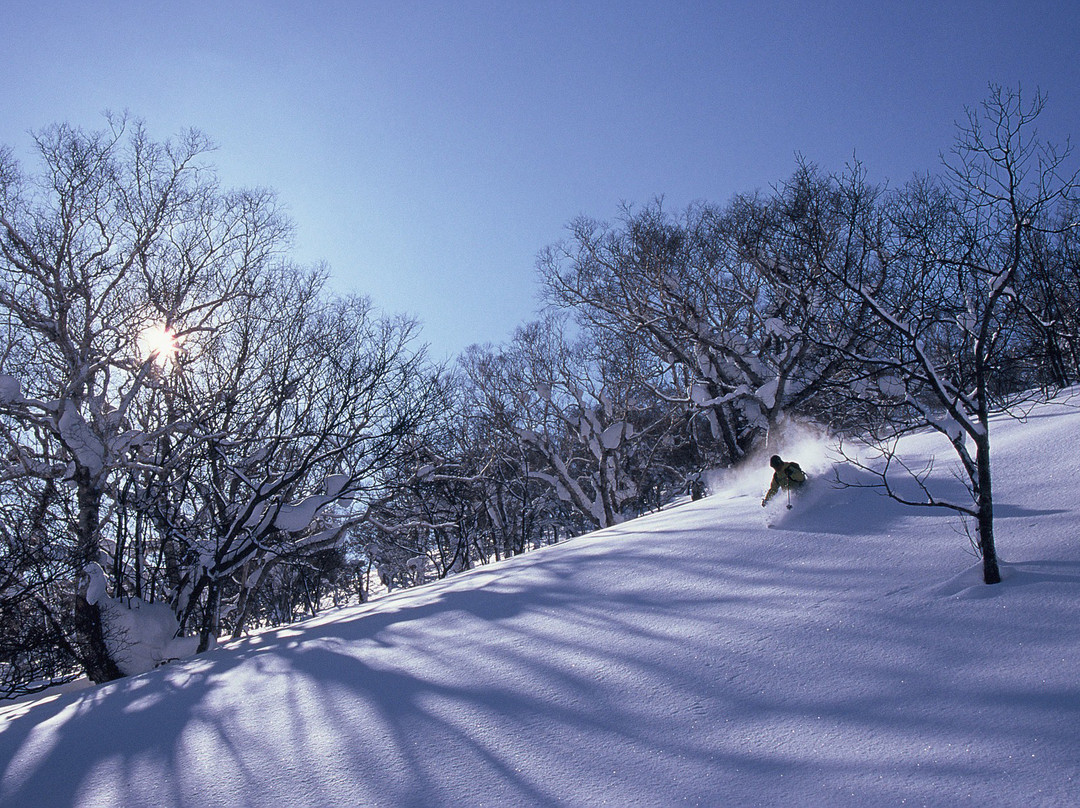 Mountain Guide Coyote-俱知安町必去景点