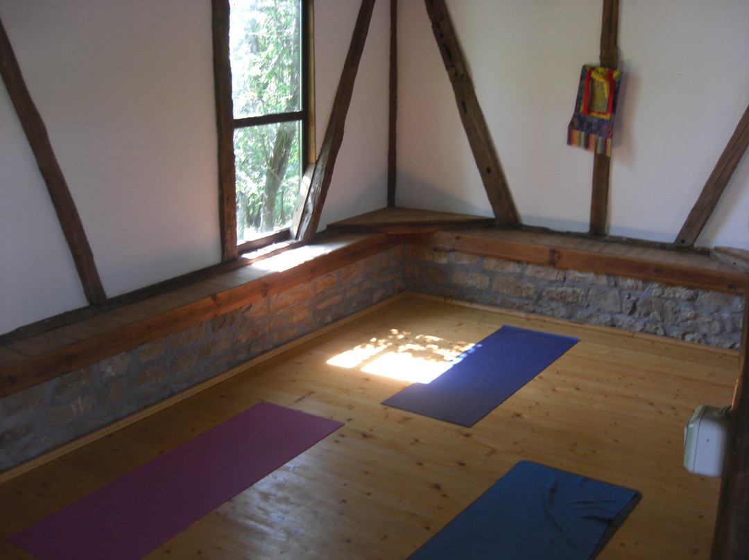 Yoga Dharma - Day Class景点图片