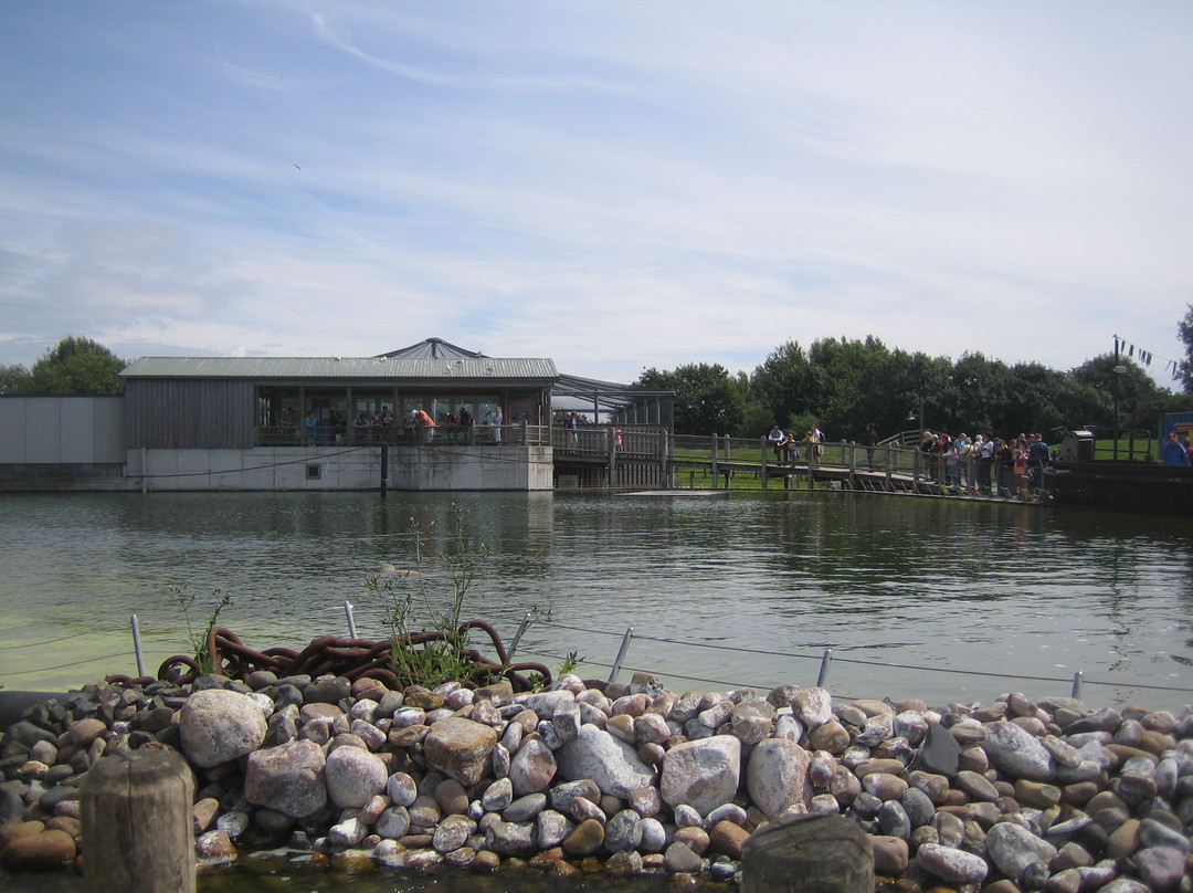 Westkustenpark & Robbarium景点图片