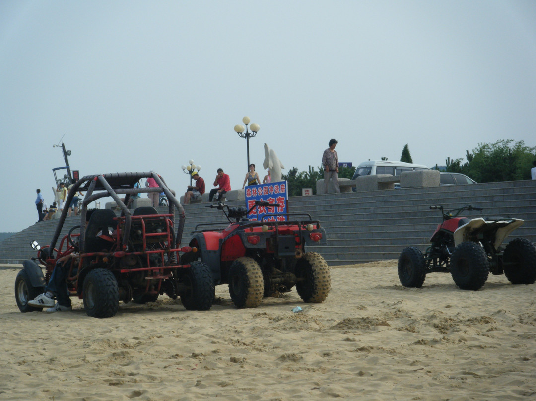 日照海滨森林公园-日照市必去景点
