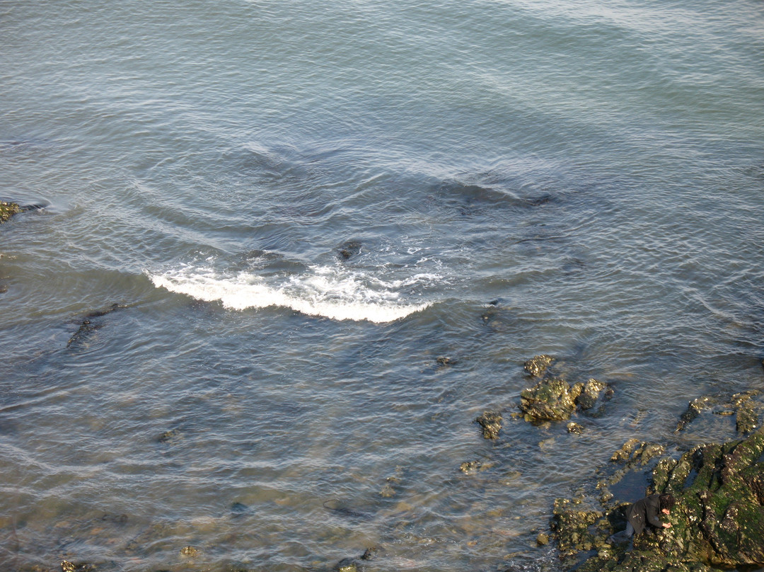 大连老虎滩广场-大连市必去景点