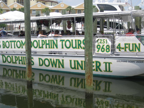 Glass Bottom Dolphin Tours-橙色海湾必去景点