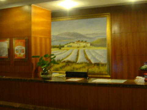 深圳汉庭华强中心公园店主图