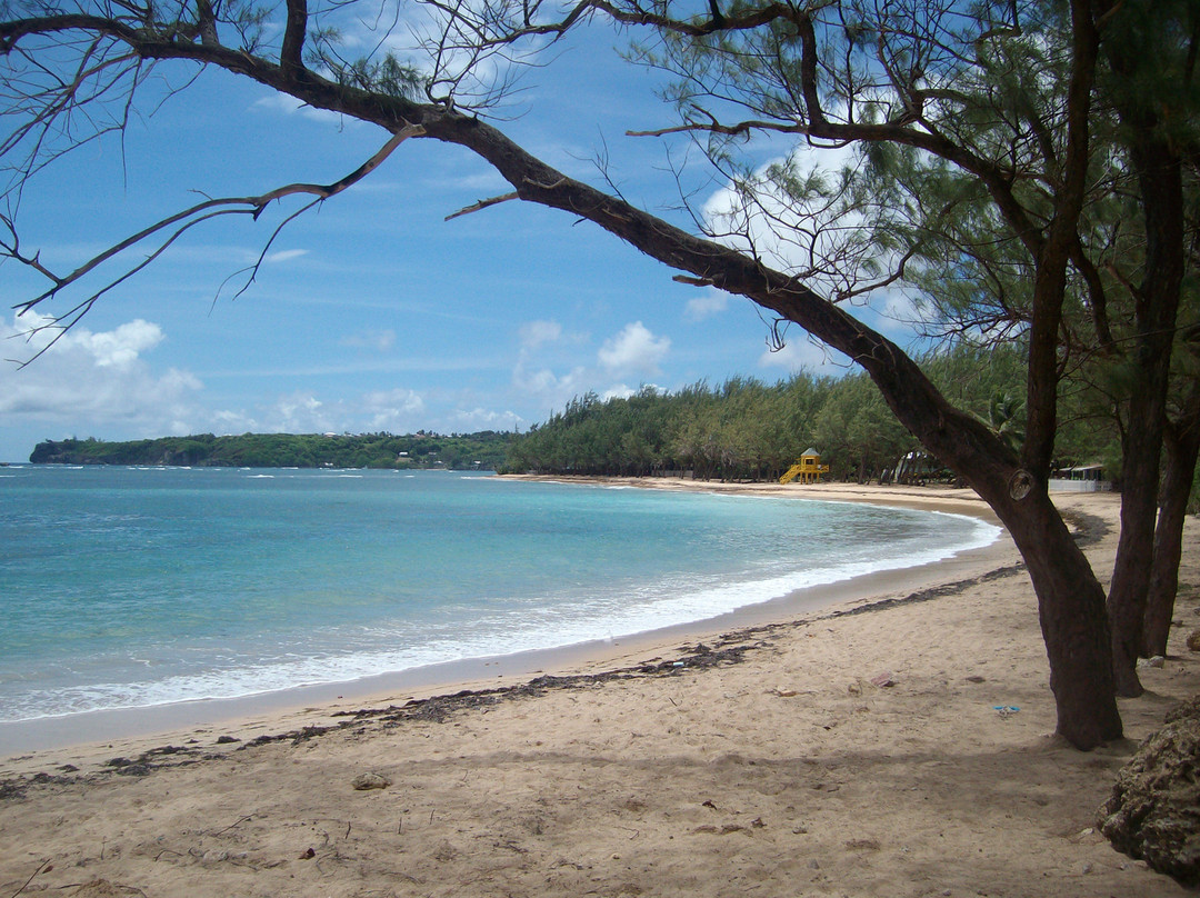 Ocean Echo Stables-Saint John Parish必去景点