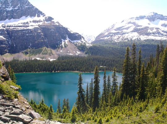 Great Divide Nature Interpretation-路易斯湖必去景点