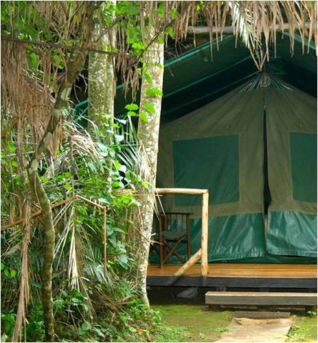 Kibale Forest Camp