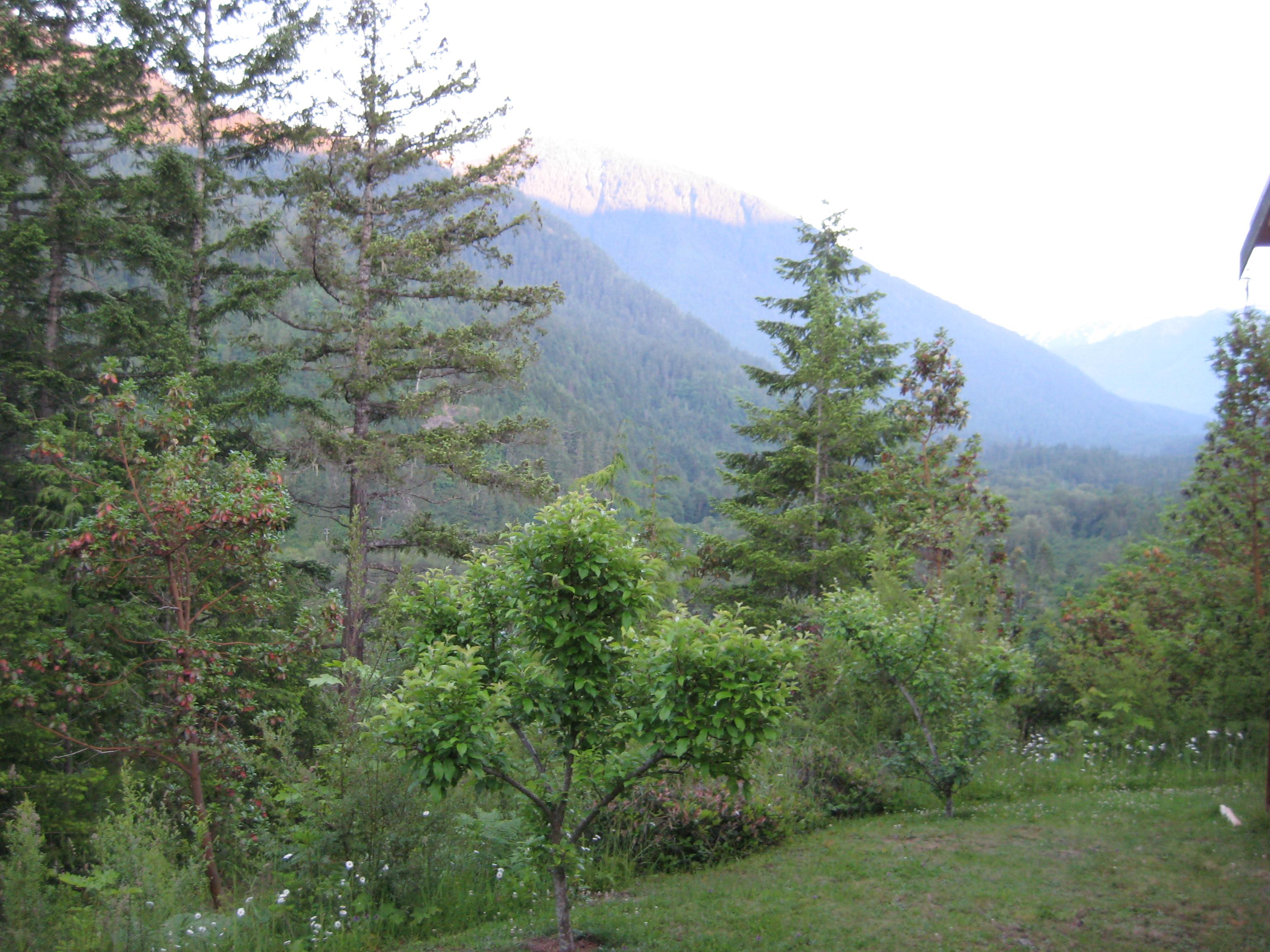 Elwha Ranch Bed and Breakfast-酒店景观