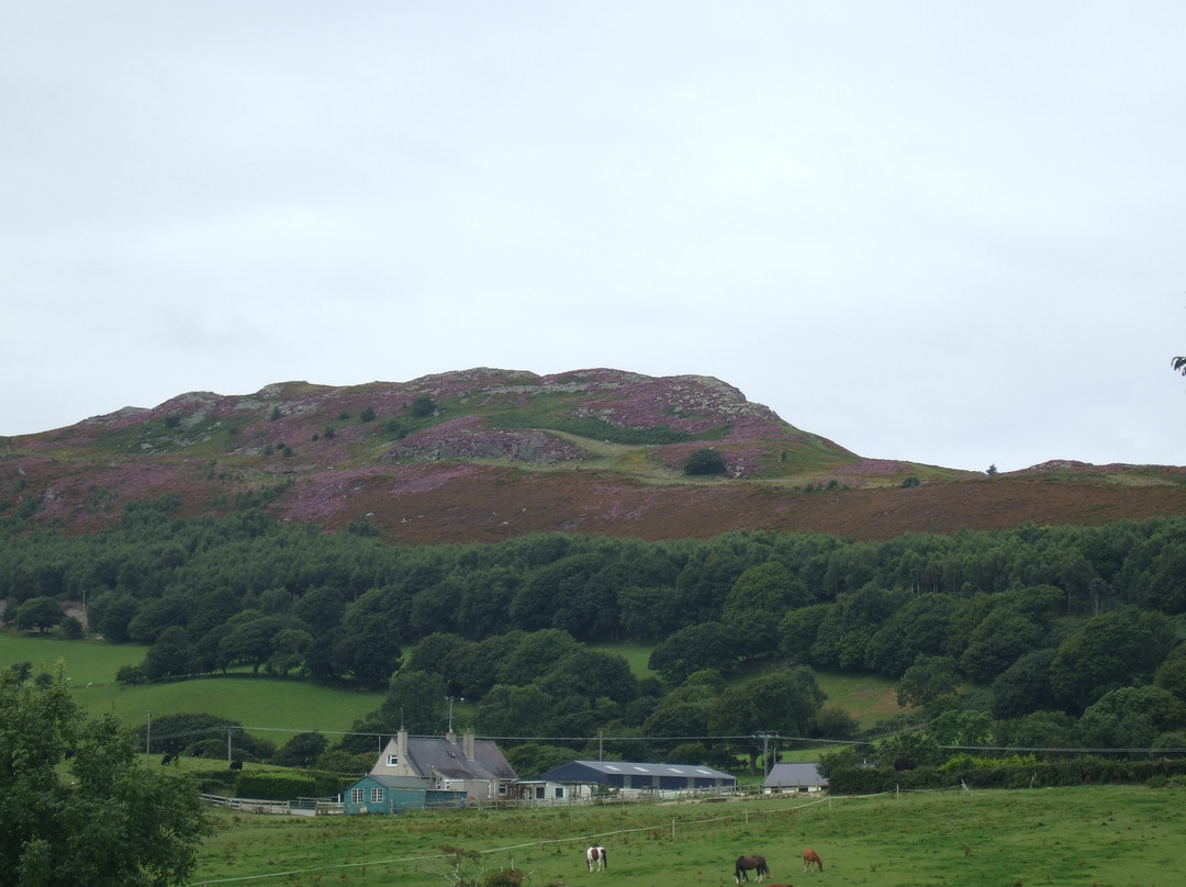 Conwy Mountain景点图片