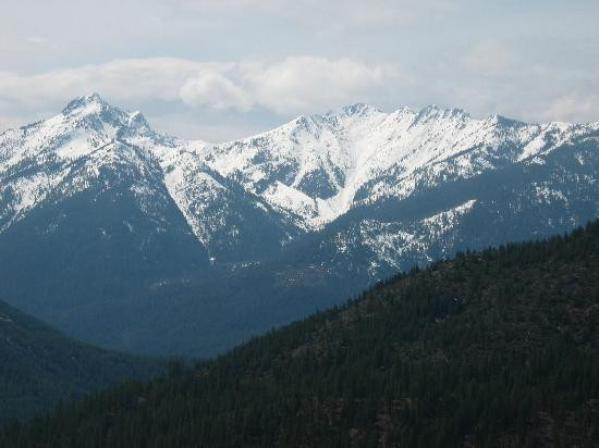 Shasta-Trinity National Forest景点图片