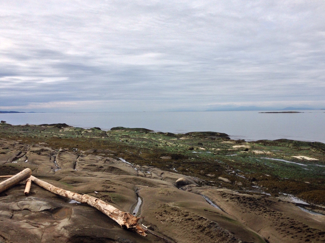 Four Winds Bed and Breakfast主图