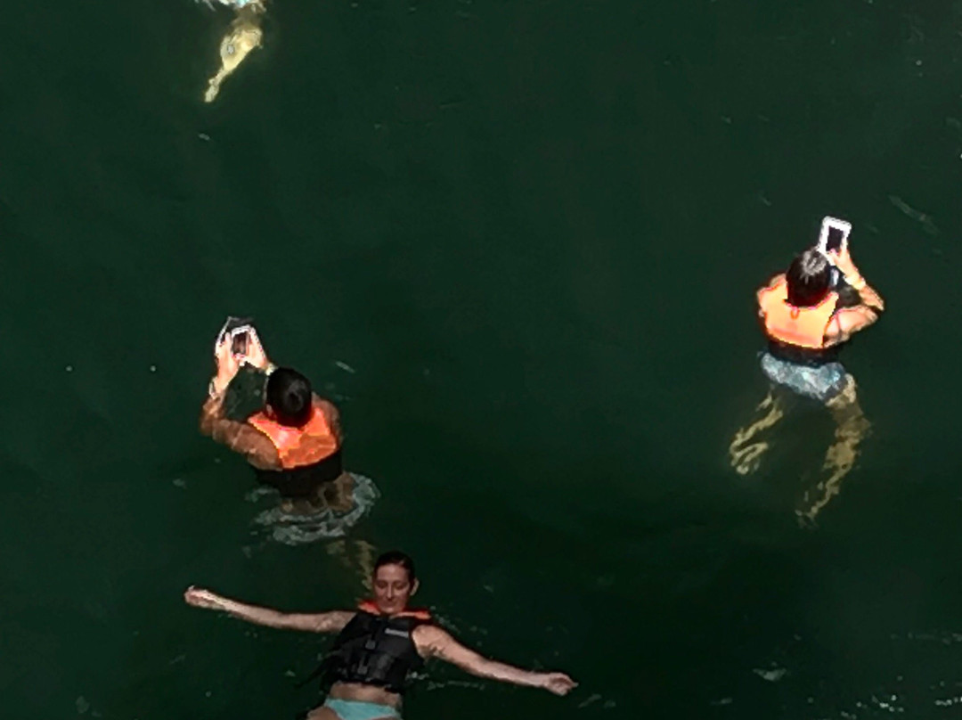 Cave Diving in Mexico景点图片