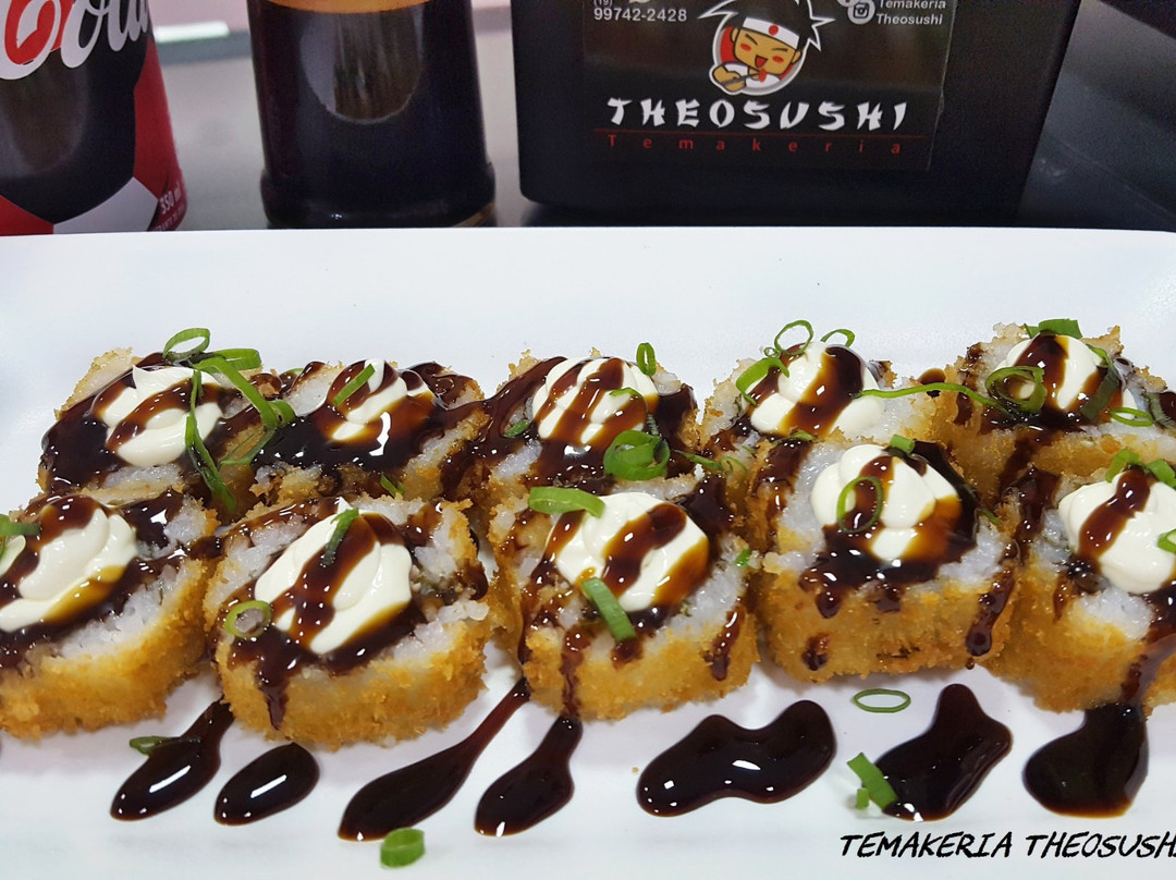 Temakeria Theosushi
