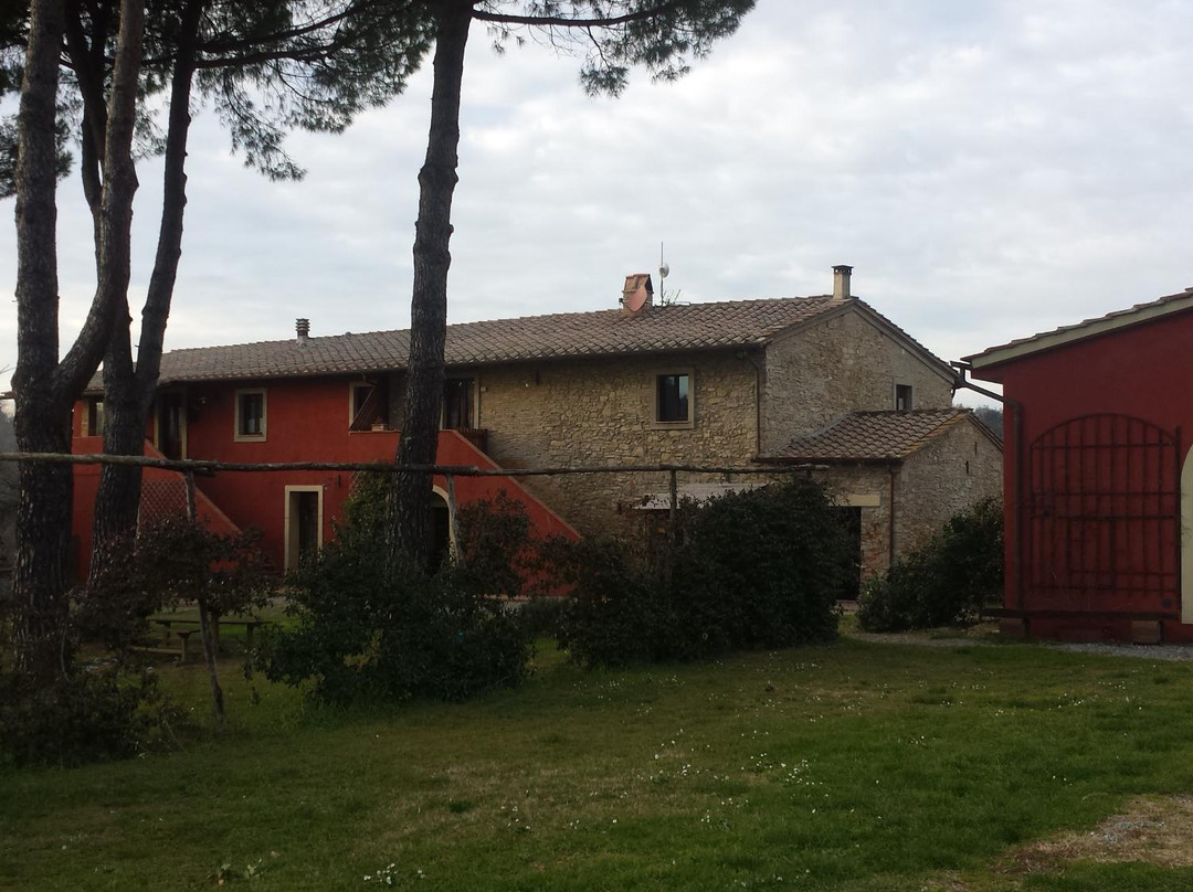 Azienda Agricola il Meletto