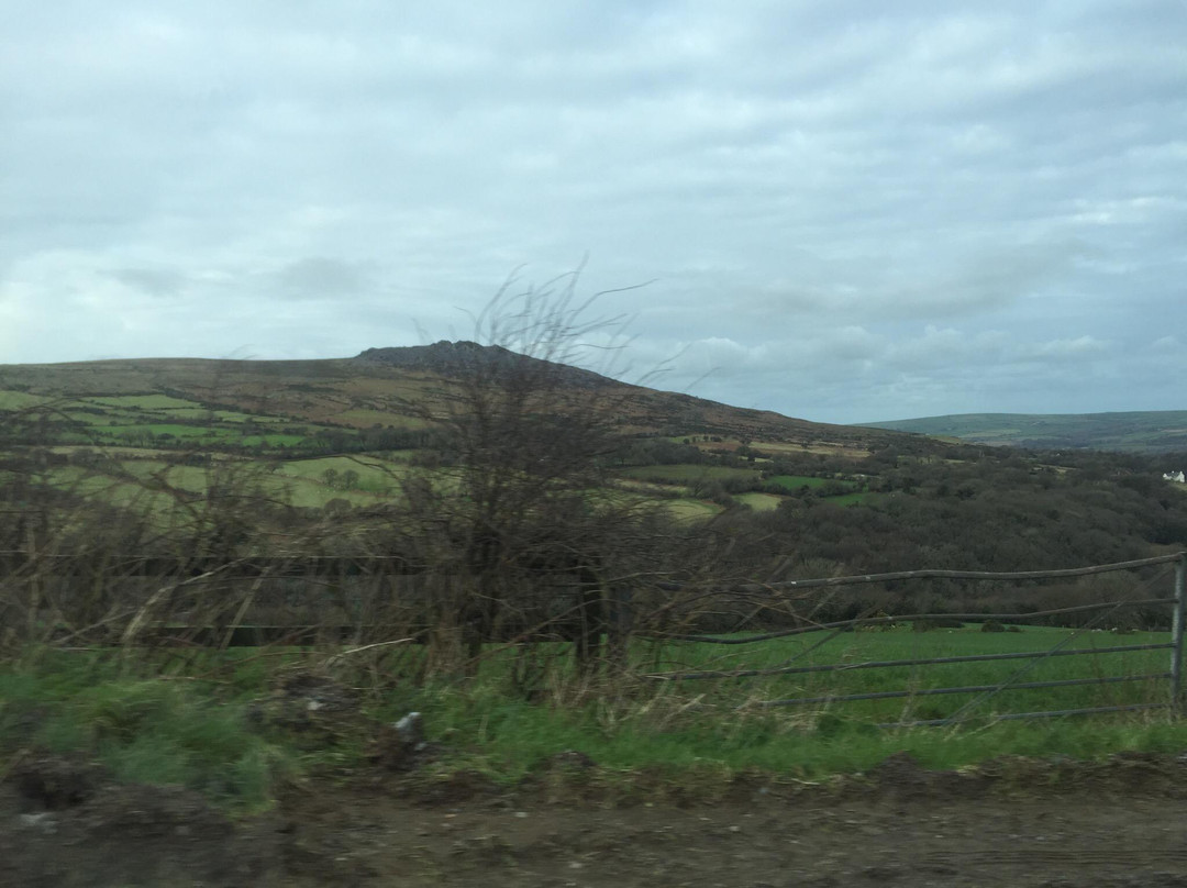 Tregynon