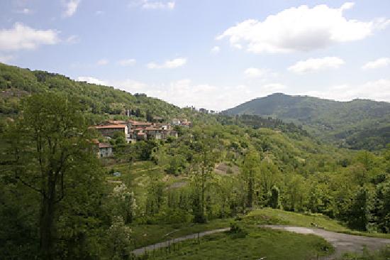 L'Olivo Piegato-客卧
