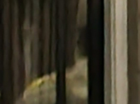 French Quarter Phantoms-新奥尔良必去景点