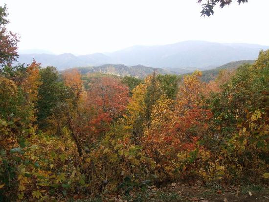 Roaring Fork Motor Nature Trail景点图片