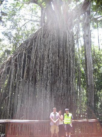Bandicoot Bicycle Tours-Holloways Beach必去景点