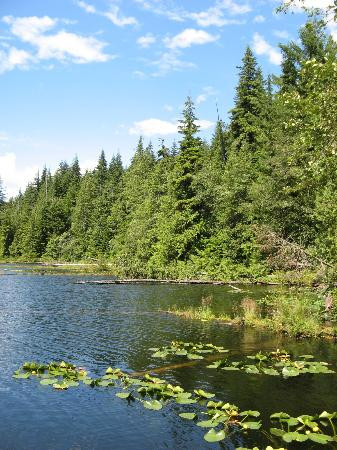 Alice Lake Provincial Park景点图片