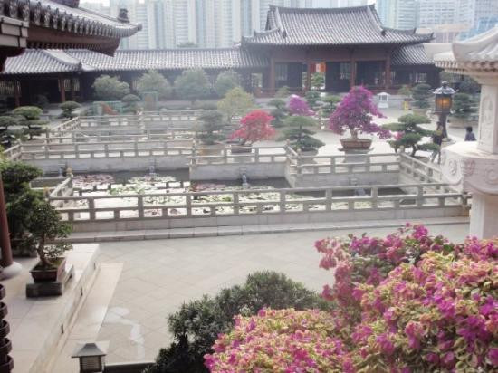 志莲净苑-香港必去景点