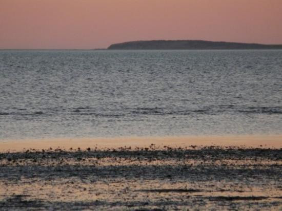 鲨鱼湾-德纳姆必去景点
