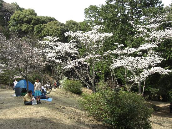 箕面公园-美浓市必去景点