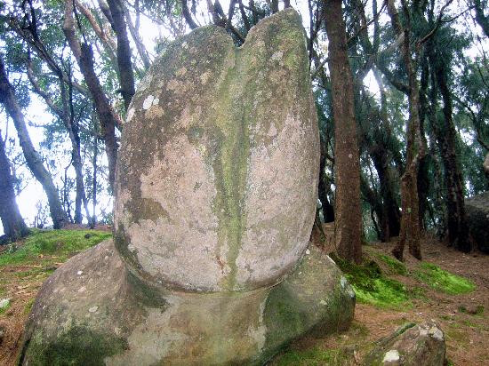 Phallic Rock (Ka Ule o Nanahoa)-霍奥莱胡阿必去景点
