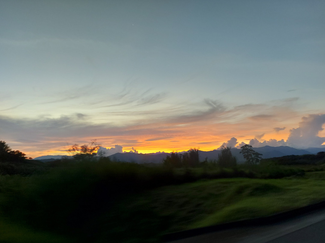 Totem_ce-Manizales必去景点