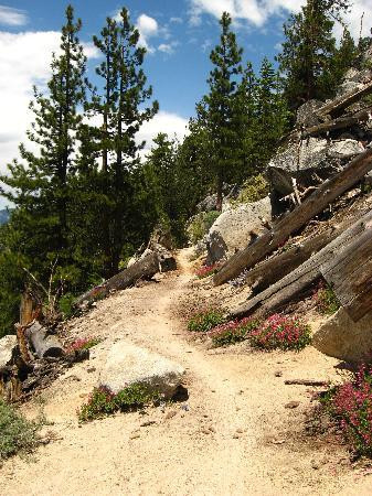 Flume Trail-太浩湖必去景点