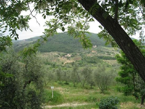 Accidental Tourist-佛罗伦萨必去景点