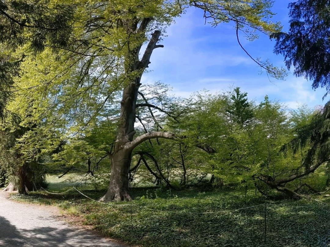 Castello di Miradolo景点图片