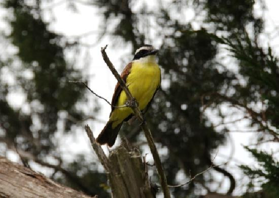 Bermuda Botanical Gardens-佩吉特教区必去景点