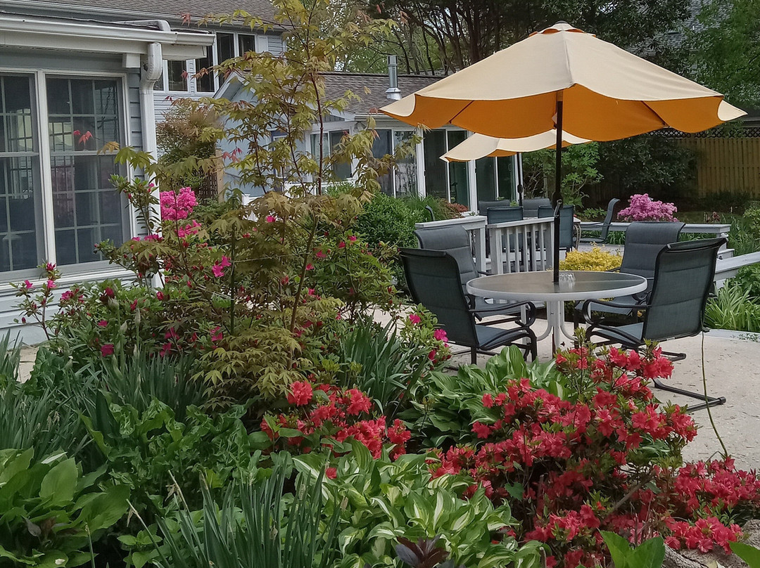 Back Creek Inn主图