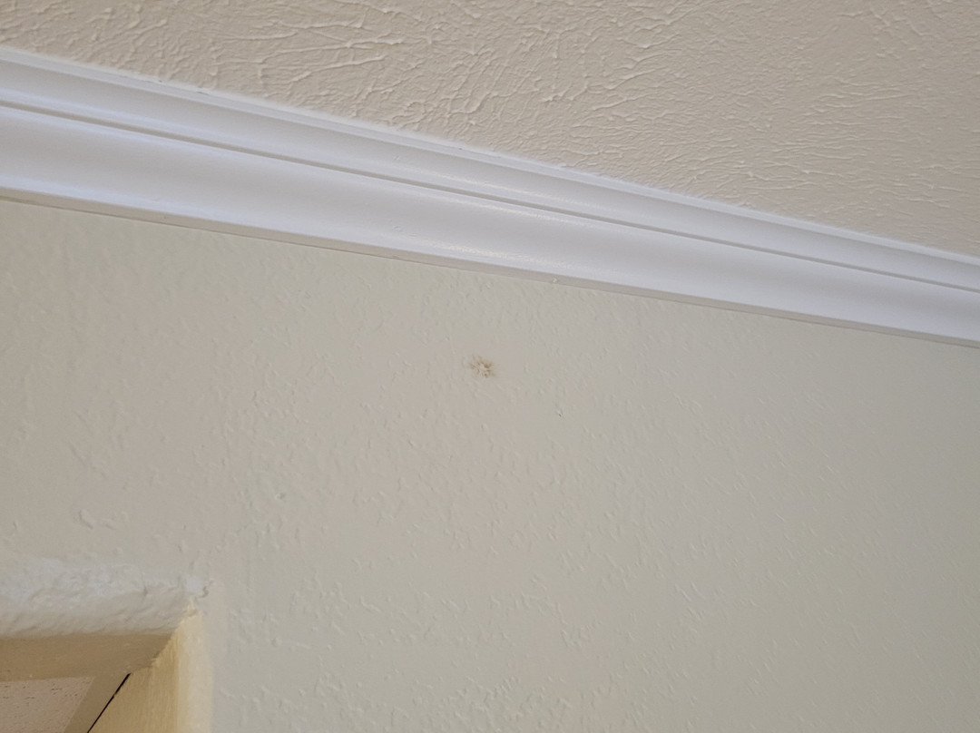 Fairmont Hot Springs Resort主图