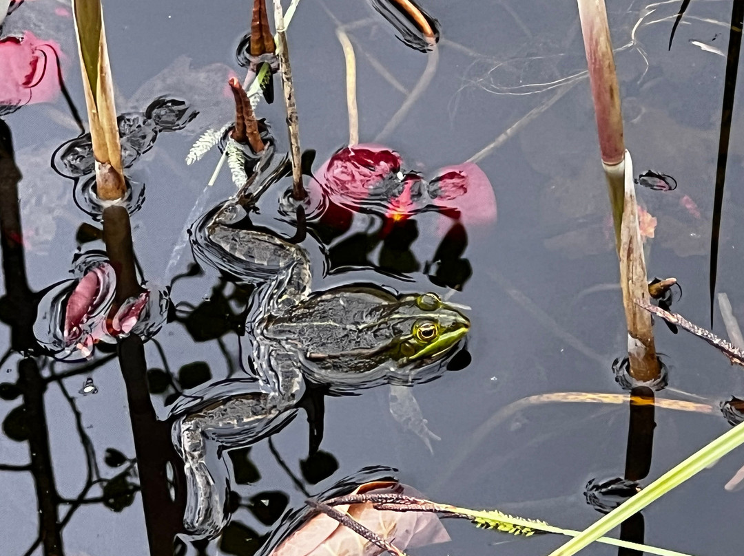 Park Seleger Moor-Rifferswil必去景点