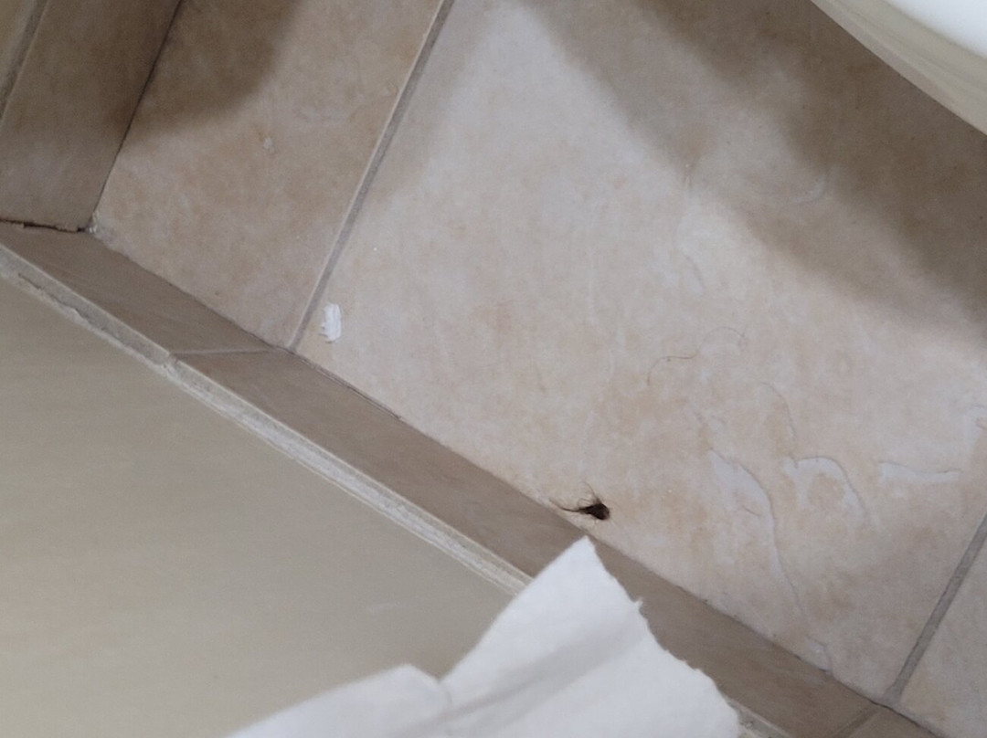 贝斯特韦斯特诺沃克酒店主图