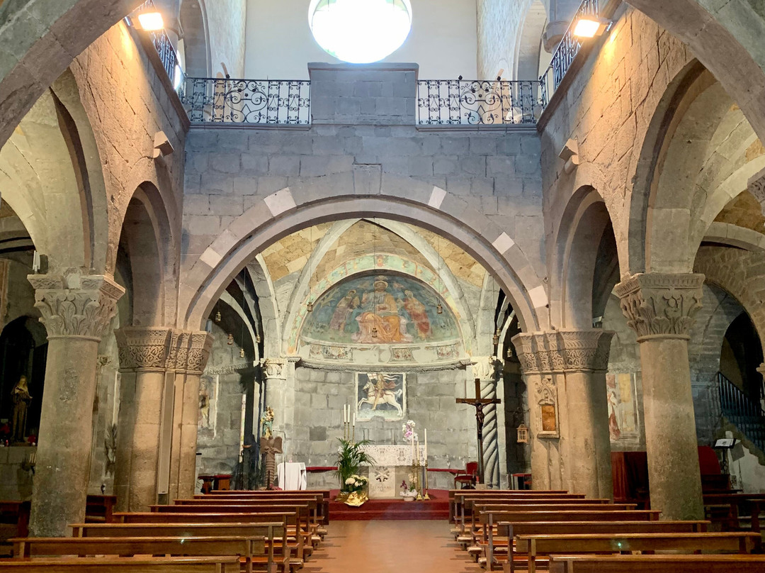 Chiesa di San Flaviano景点图片