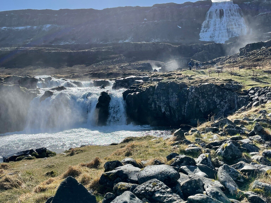 Wild Westfjords-伊萨菲厄泽必去景点