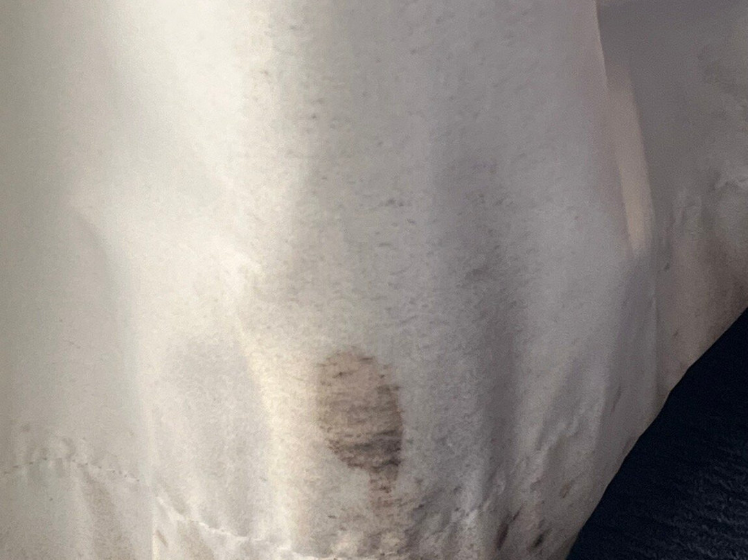 The Claremont Motel & Apartments主图