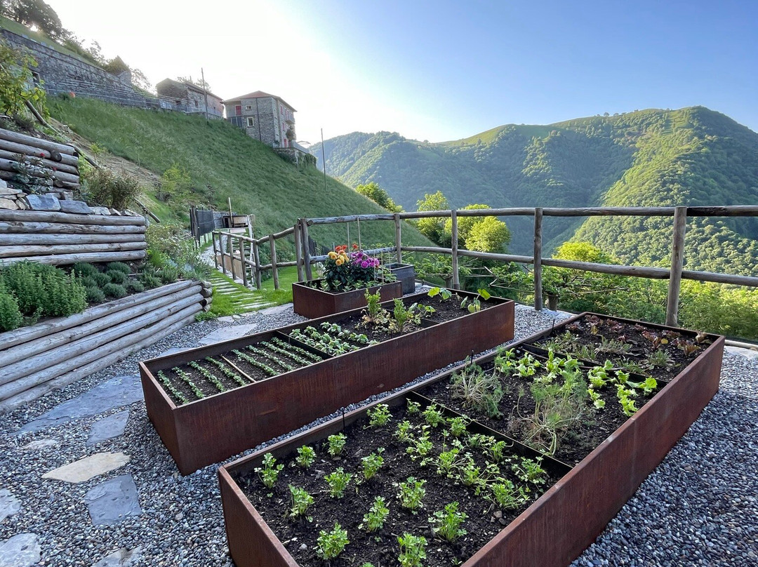La Casa dei Gelsi - Panorama Lodge by Stay Generous主图