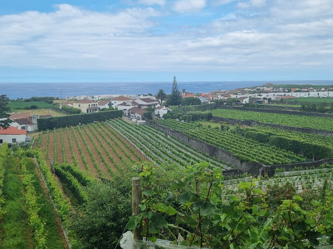 Quinta da Jardinete Vineyard-蓬塔德尔加达必去景点