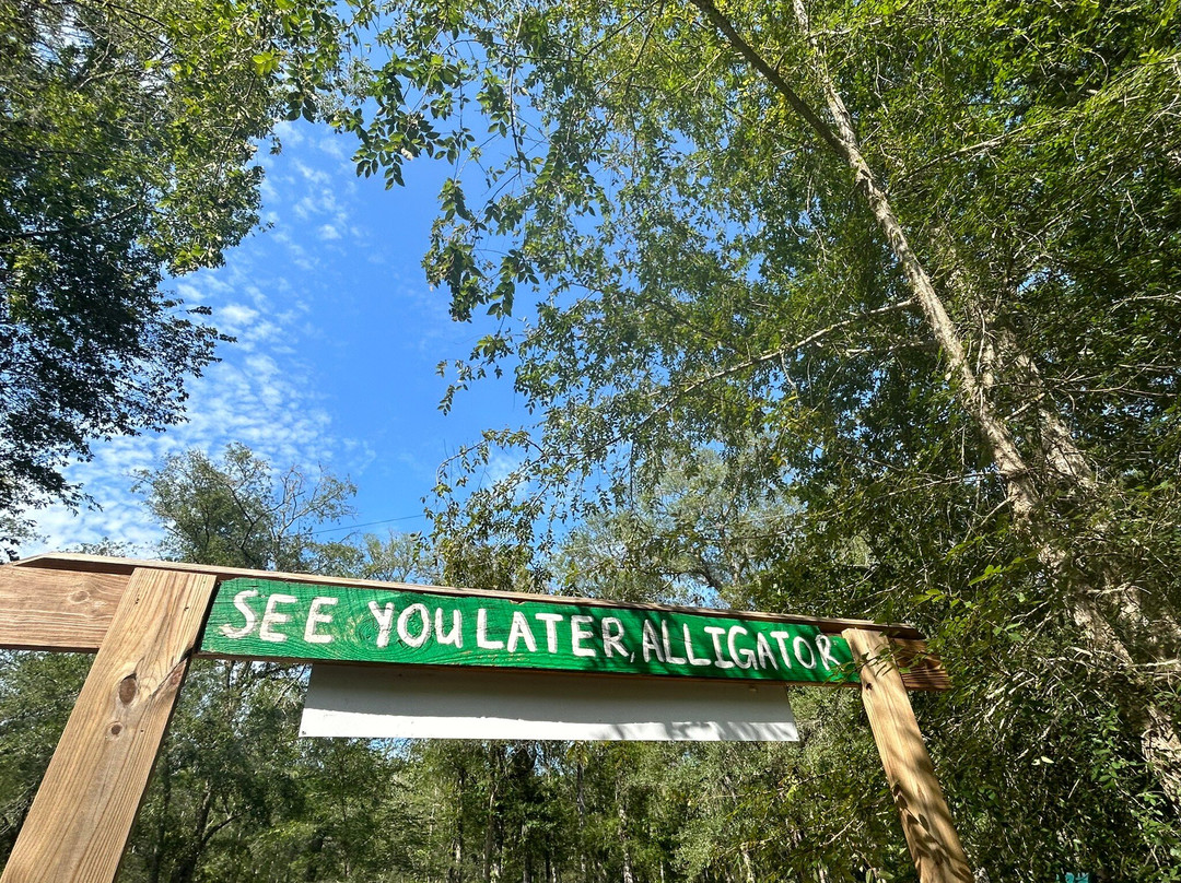 Edisto River Adventures景点图片