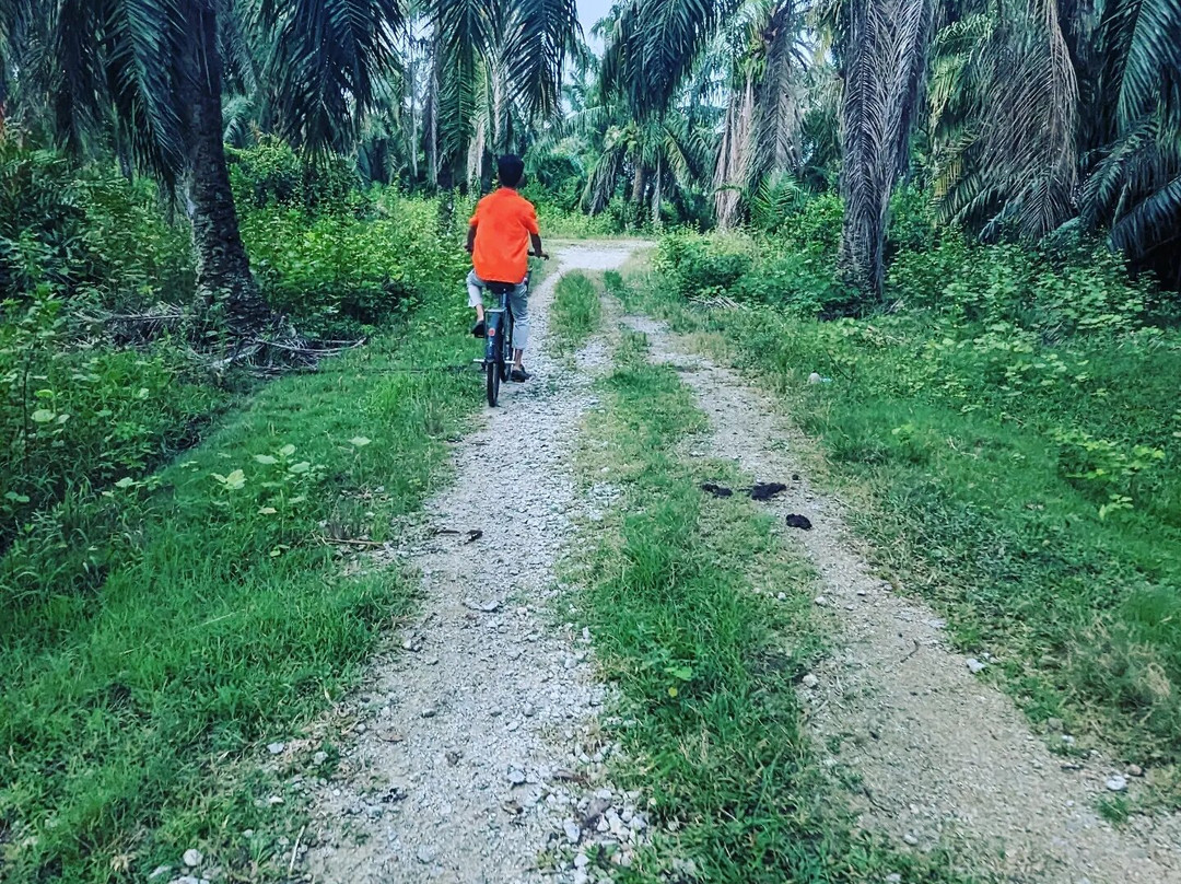 Explore Balik Pulau-浮罗山背必去景点