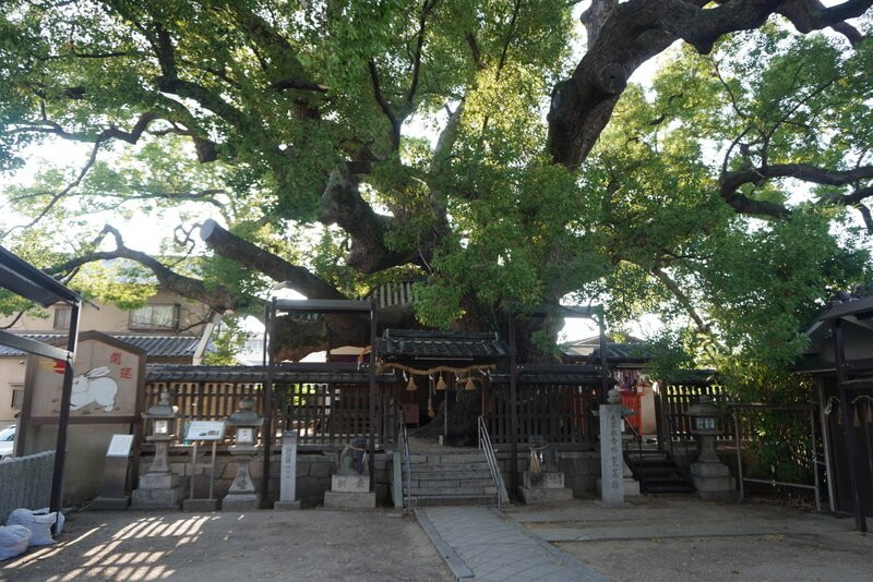 Mitsushima Shrine景点图片