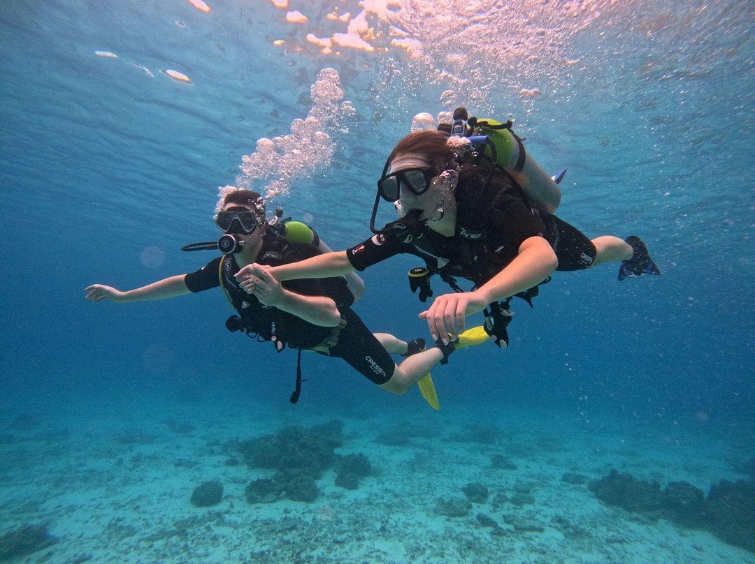 American Divers Phuket景点图片