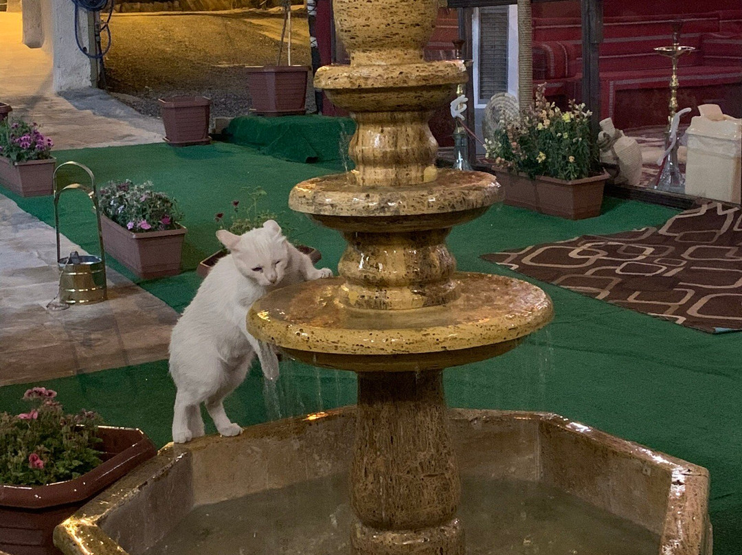 Petra Aretas Hotel主图