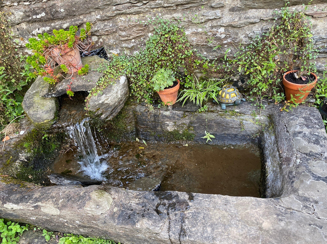 O Pazo da Briona主图